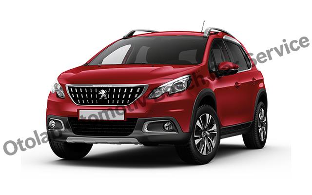 Bornova Peugeot Servisi