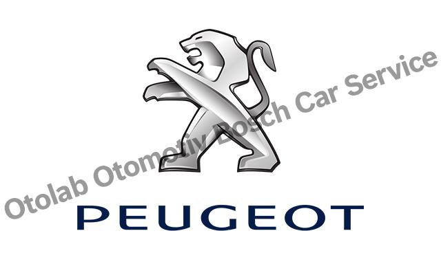 Bornova Peugeot Servisi
