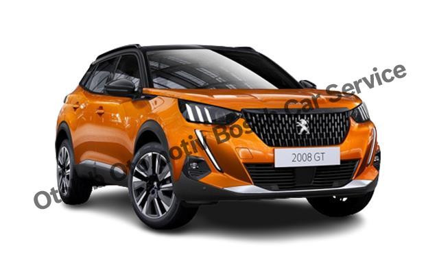 Bornova Peugeot Servisi